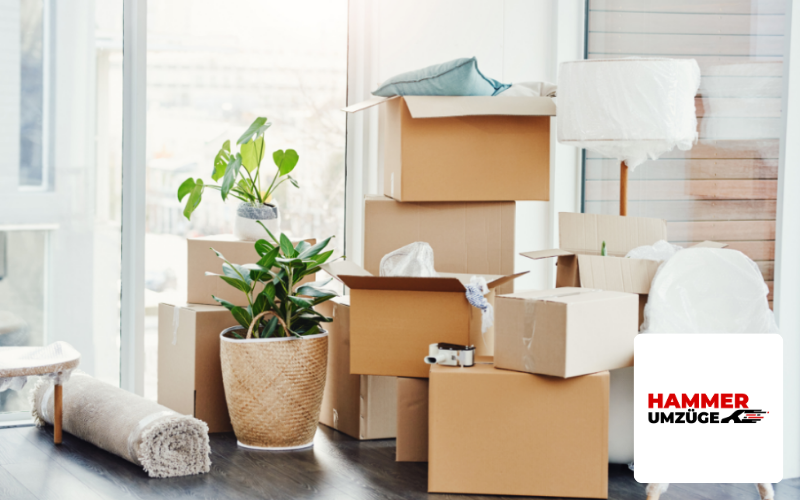 Kundenreferenz Hammer Umzüge: Umzugskartons und Umzugsmaterial